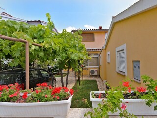 Apartment Valbandon  7