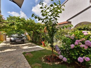 Apartment Valbandon  8