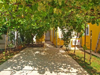 Apartment Valbandon  9