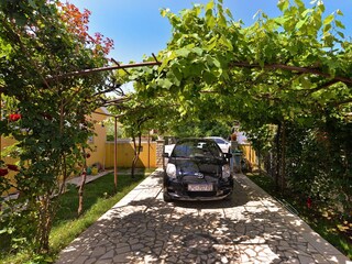 Apartment Valbandon  10