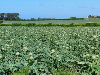 Maison de vacances Sibiril Environnement 23