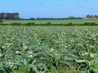 Casa de vacaciones Cléder Entorno 23