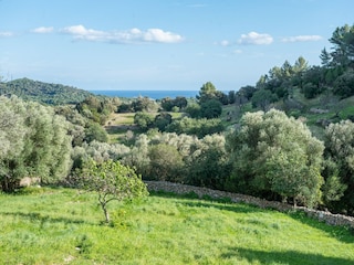 Casa per le vacanze Felanitx Ambiente 37