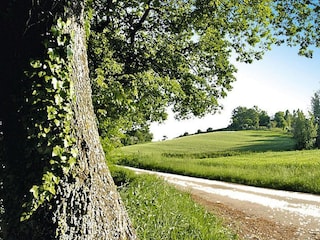 Holiday park Marotta-Mondolfo Outdoor Recording 11