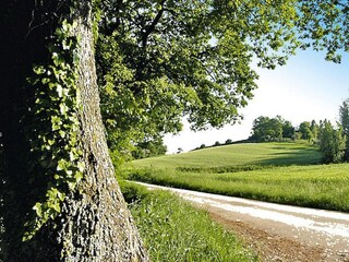 Parc de vacances Marotta-Mondolfo Enregistrement extérieur 11