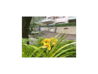 Apartment Limone sul Garda Außenaufnahme 8
