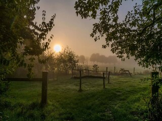 Vakantiehuis Kesteren Omgeving 7