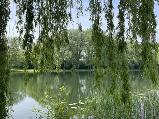 Vakantiehuis Kesteren Omgeving 9