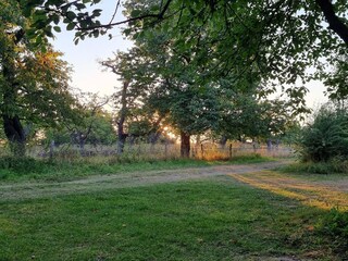 Holiday house Kesteren Environment 10