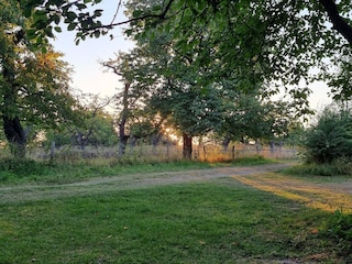 Vakantiehuis Kesteren Omgeving 10