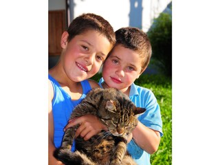Kinder mit Katze