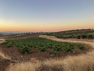 Holiday park Laren (Gelderland) Environment 16