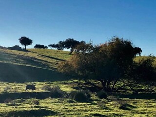 Parque de vacaciones Laren (Gelderland) Entorno 18