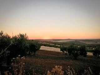 Parc de vacances Laren (Gelderland) Environnement 19