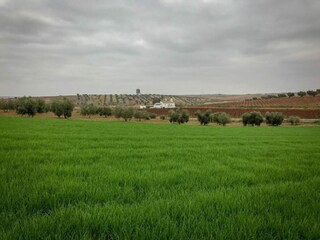 Ferienpark Laren (Gelderland) Umgebung 22