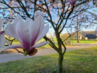 Ferienpark Laren (Gelderland) Umgebung 30