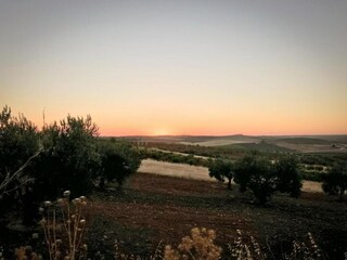 Parco vacanze Laren (Gelderland) Ambiente 32