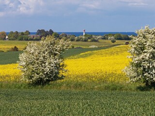 Vakantiehuis Heiligenhafen Omgeving 22