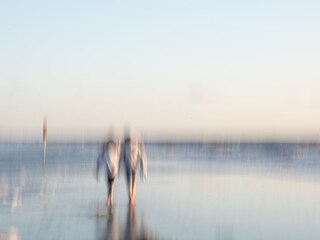 Appartamento per vacanze Callantsoog Ambiente 30