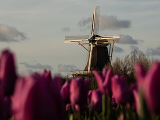 Appartamento per vacanze Callantsoog Ambiente 33