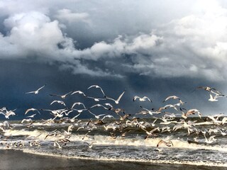 Appartamento per vacanze Callantsoog Ambiente 19