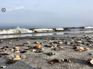 Appartamento per vacanze Callantsoog Ambiente 22