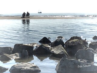 Appartamento per vacanze Callantsoog Ambiente 24