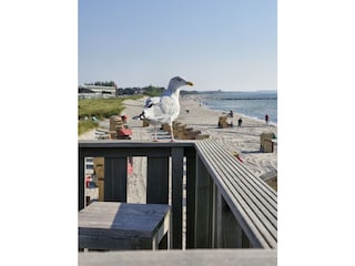 360 Grad Bar Südstrand