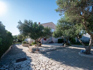 Apartment Povljana  6