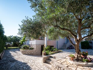 Apartment Povljana  7