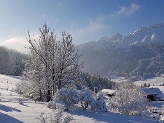 Blick vom Balkon auf d. Breitenberg