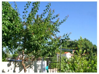 Ferienzimmer Duće  12