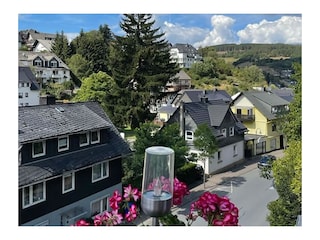 Fewo Blumenwiese - Blick auf Alt-Willingen