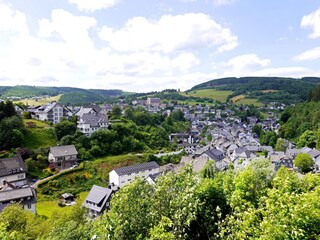 Blick vom Haus/Fewo auf Alt-Willingen