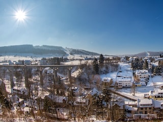 Winterpanorama vom Wintergarten