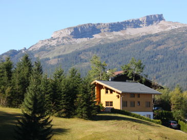 Ferienwohnung Feriendomizil Fellhorn