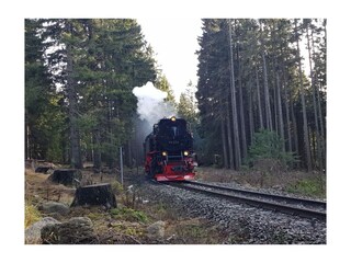 Die Harzer Schmalspurbahn auf den Weg zum Brocken