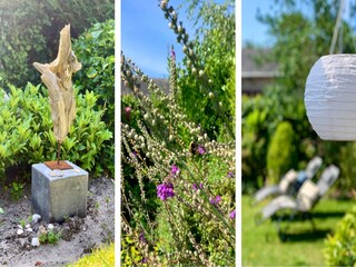 Maison de vacances Sint Maartenszee  29