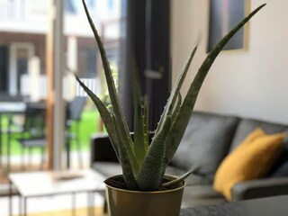 Appartement Zoutelande  23