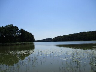 Casa de vacaciones Kołczewo Entorno 21