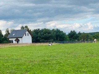 Casa per le vacanze Kołczewo Registrazione all'aperto 8