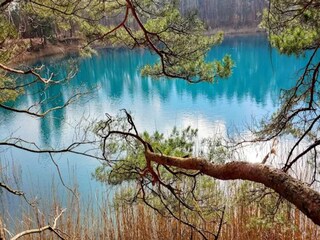 Hausboot Boxberg (Oberlausitz) Umgebung 36
