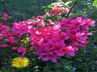 Huisboot Zehdenick Omgeving 25