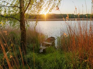 House boat Zehdenick Environment 27