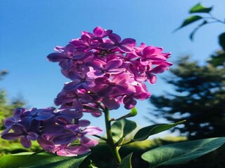 Maison flottante Zehdenick Environnement 22