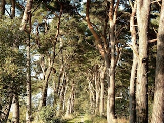 Barco casa Peenemünde Entorno 30