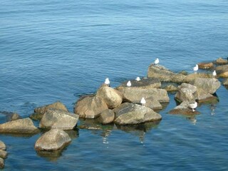 Huisboot Peenemünde Omgeving 28