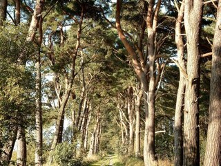 Maison flottante Peenemünde Environnement 30