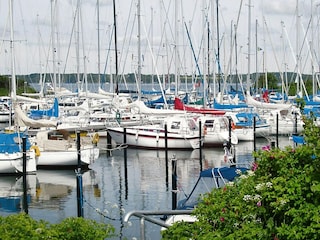 Ferienhaus Weesby Umgebung 21