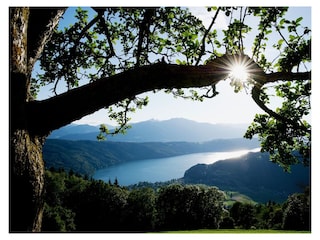 Ferienhaus Rothenthurn Umgebung 33